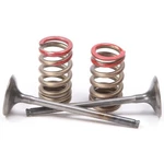 Pro Steel Exhaust Valve And Spring Kit 28.SES4335-1. Fixed Price $139.99.