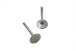 Stainless Steel Exhaust Valve For Harley-davidson. Fixed Price $77.99.