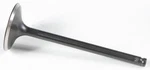 Kibblewhite Black Diamond Intake Valve Standard 30-30166. Fixed Price $48.69.