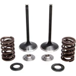 Kibblewhite Intake Only Stainless Conversion Valve/spring Kit 30-31230. Fixed Price $179.67.
