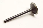 Oem Kawasaki 12004-1013 Intake Valve Nos. Fixed Price $28.01.