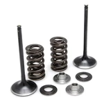 Kawasaki KX250F Kibblewhite Kpmi Intake Valve Spring Kit Titanium 40-40350. Fixed Price $160.20.