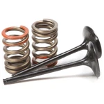 Pro X Steel Intake Valve And Spring Kit 28.SIS4341-2. Fixed Price $139.99.