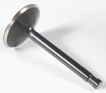 Kibblewhite Black Diamond Intake Valve 20-4256. Fixed Price $29.95.
