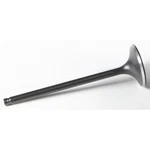 Kpmi Black Diamond Intake Valve 30-3115. Fixed Price $35.34.