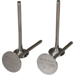 Del West DW-YZ250F-IV14 Intake Valve Titanium. Fixed Price $155.95.