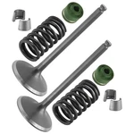 2X Intake Valve Kit For Yamaha 33D-12111-00-00 33D-12113-00-00 3LD-12118-00-00. Fixed Price $30.99.