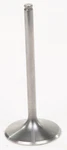 Xceldyne Titanium Single Intake Valve X2TIVM13000. Fixed Price $104.68.
