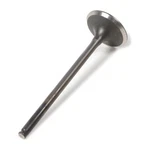 Pro Steel Exhaust Valve 28.1338-1. Fixed Price $32.72.