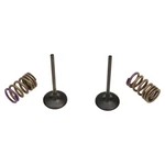 Pro X 28.SIS4338-2 Steel Valve And Spring Kit Intake. Fixed Price $139.99.