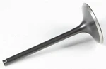 Kibblewhite Black Diamond Valve Standard Intake 30-31262. Fixed Price $27.91.