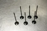 09-12 Kawasaki Ninja ZX6R Exhaust Valve. Fixed Price $99.99.