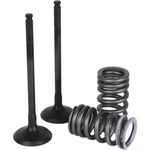 Wiseco SVK3338-E Garage Buddy Exhaust Valve Kit. Fixed Price $156.99.
