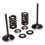 Kibblewhite Stainless Steel Intake Valve Kit 30-31240. Fixed Price $166.27.