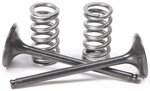 Pro 28.SES2440-1 Steel Valves And Spring Kits Exhaust. Fixed Price $139.95.