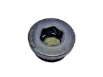 Plug Exhaust Power Valve 1985 Kawasaki Cylinder Bolt Oem. Fixed Price $30.00.