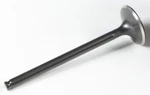 Kibblewhite Black Diamond Exhaust Valve 30-30168. Fixed Price $52.33.