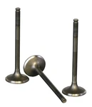 Wiseco VES035 Premium Stainless Steel Exhaust Valve. Fixed Price $66.21.