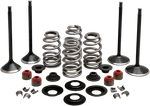 Harley Davidson Twin Cam 2005-2017 Engine Valve Kit Kibblewhite 20-23150. Fixed Price $239.95.