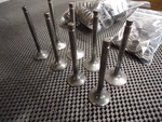Suzuki GS850G Engine Valves Inlet & Exhaust. Fixed Price $133.01.
