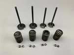Cylinder Intake Exhaust Valve Kit Yamaha YFM700R 2006-2017. Fixed Price $69.95.