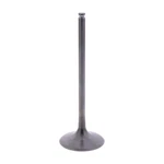 Jmp Intake Valve 11348550131 For Bmw 1000 HP4 Race 2013-2016. Fixed Price $403.81.