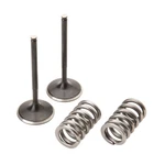 Pro X 28.SIS1405-2 Steel Intake Valve/spring Kit. Fixed Price $131.85.