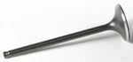 Kibblewhite Black Diamond Intake Valve Standard 30-3115. Fixed Price $36.42.
