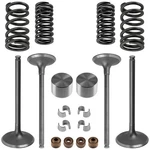 Engine Exhaust & Intake Valve Kit For Honda CRF250R 2008-2009 / 14721-KRN-A10. Fixed Price $54.99.