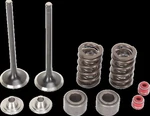 Moose Racing Hard-parts 0926-2435 Valve Kit Ex Mse CRF250. Fixed Price $217.95.
