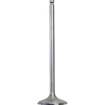 Xceldyne Intake Valve - Steel X2SIVM42002. Fixed Price $48.88.