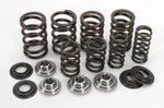 Kibblewhite Valve Spring Kit 30-4021. Fixed Price $76.99.