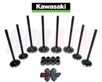 05-20 Kawasaki Brute Force KVF750 Exhaust & Intake Valves Stem Seals Fix Kit. Fixed Price $69.99.