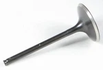 Kibblewhite Diamond Intake Valve Standard 30-31612. Fixed Price $30.02.