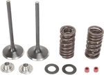 Moose Intake Valve/spring Kit Steel For Honda CRF250X 4-STROKE/CRF250R. Fixed Price $217.95.
