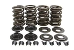 Kibblewhite 20-20081 Lightweight Racing Valve Spring Kit, Steel. Fixed Price $189.25.