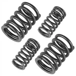 2X Valve Spring Inner & Outer For Honda 14751-HN0-A00 14761-HM8-000. Fixed Price $11.00.