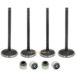 Polaris Head Intake & Exhaust Valves Seals For Predator 500 2003 2004 2005-2007. Fixed Price $50.95.