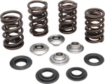 Kibblewhite Complete Valve Spring Kit With Titanium Retainers 20-20060. Fixed Price $349.93.