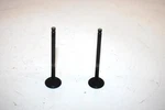04 Polaris Sportsman 500 Oem Exhaust Valve Set 3085412 AP44. Fixed Price $26.99.