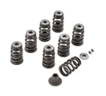 2018-2024 Harley Screamin' Eagle Performance Valve Spring Kit Oem 18100080. Fixed Price $329.94.