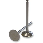 Del West Intake Valve DW450RIV09ND. Fixed Price $147.35.