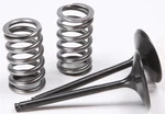 Pro X 28.SIS1409-2 Steel Valves And Spring Kits Intake. Fixed Price $139.95.
