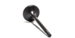 Psychic Intake Valve MX-09527I. Fixed Price $19.90.