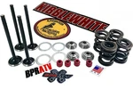 14-18 Yamaha Kibblewhite Intake Exhaust Valves Springs Red Seals. Fixed Price $303.89.