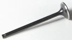 Kibblewhite Black Diamond Intake Valve Standard 30-30088. Fixed Price $48.69.