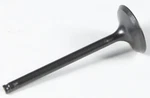 Kpmi Black Diamond Exhaust Valve 40-40316. Fixed Price $49.54.