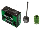 1987-2005 Kawasaki Mojave KLR250 Exhaust Valve And Seal. Fixed Price $29.99.