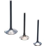 Kibblewhite Exhaust Valve Big Twin 20-4195S. Fixed Price $35.31.