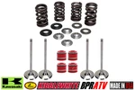 04-16 Kawasaki Kibblewhite Intake Exhaust Valves Titanium Springs. Fixed Price $329.98.